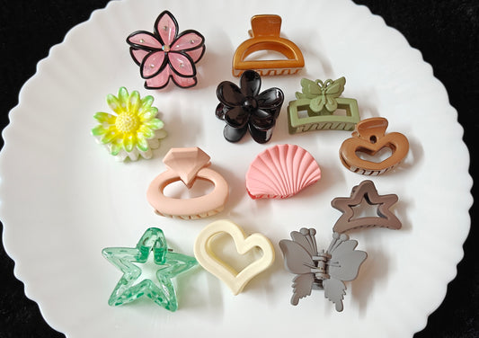 Cute Hair Claw Clips Combo – 12 Pcs